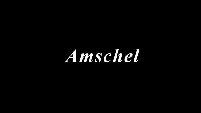 Download Amschel Stock ROM